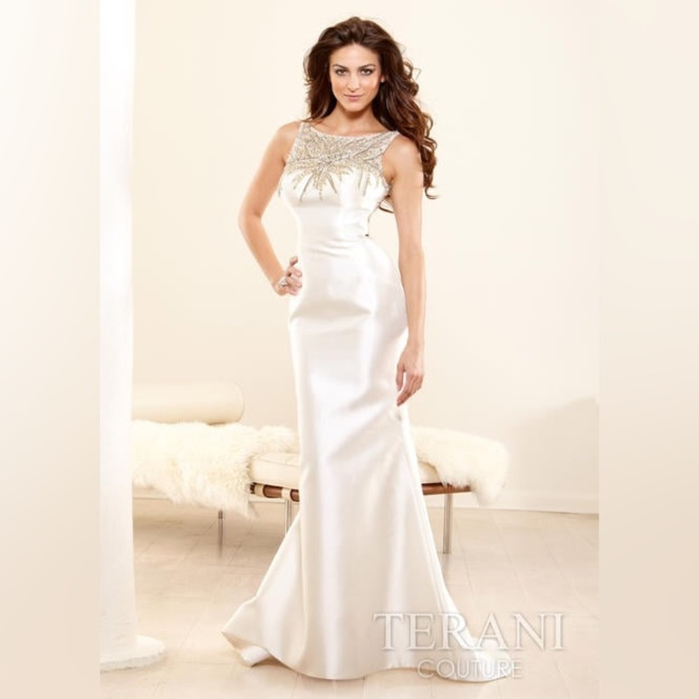 Terani Couture Sequin Gown Size 2
